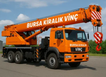 bursa kiralık vinç